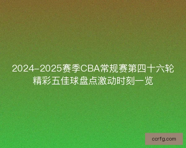 2024-2025赛季CBA常规赛第四十六轮精彩五佳球盘点激动时刻一览