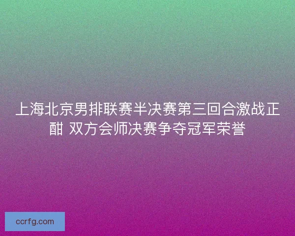 上海北京男排联赛半决赛第三回合激战正酣 双方会师决赛争夺冠军荣誉